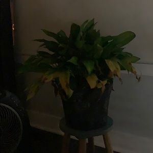 Meet your Posher, Kristy